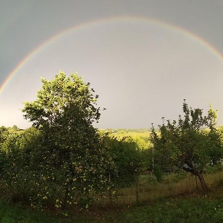Vila Biohof Koller Weichselbaum Exteriér fotografie