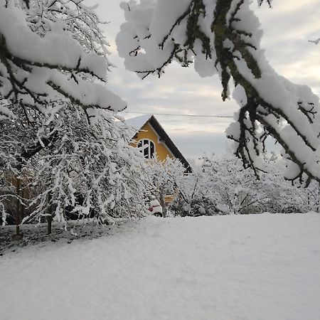 Vila Biohof Koller Weichselbaum Exteriér fotografie