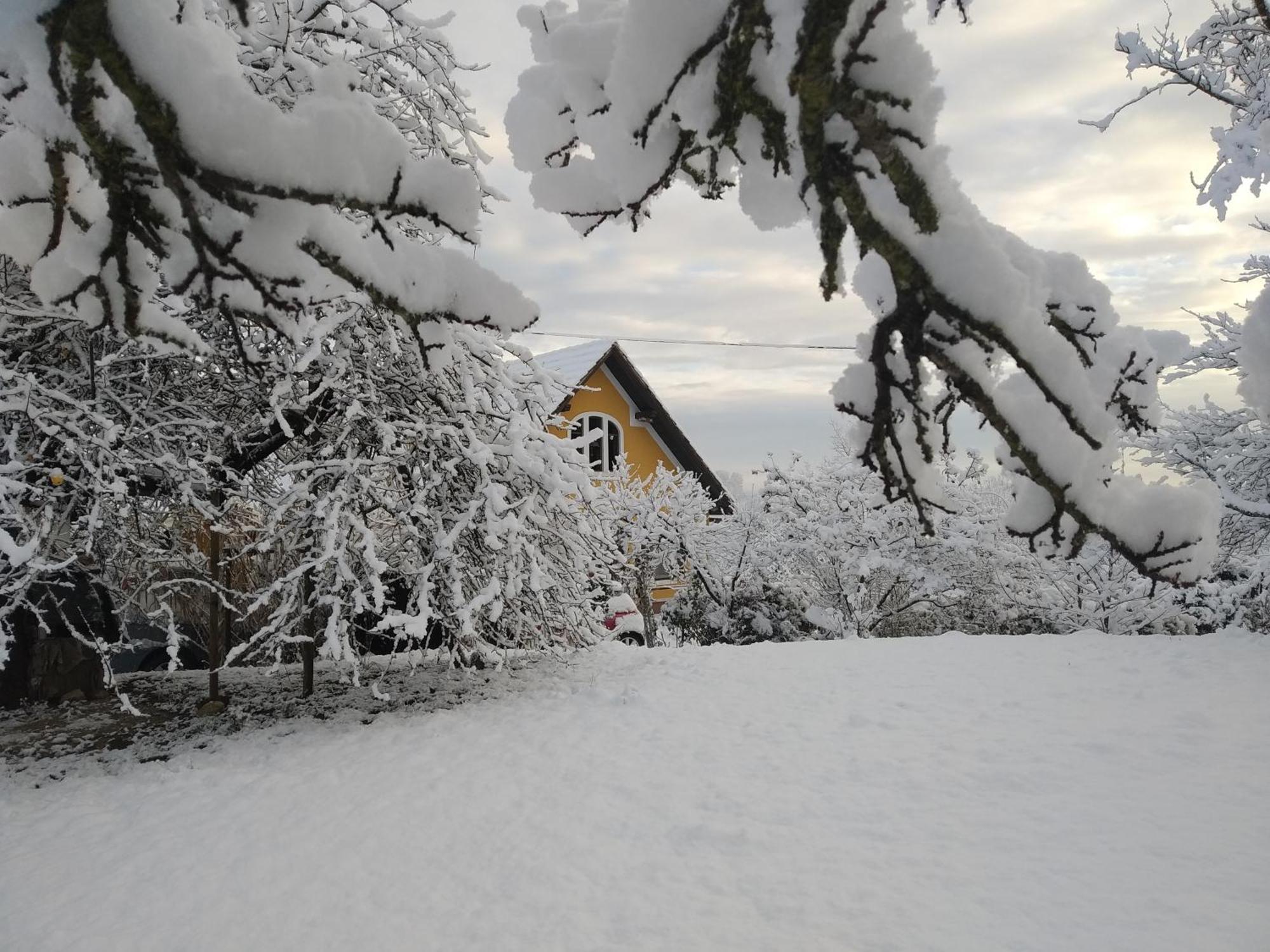 Vila Biohof Koller Weichselbaum Exteriér fotografie