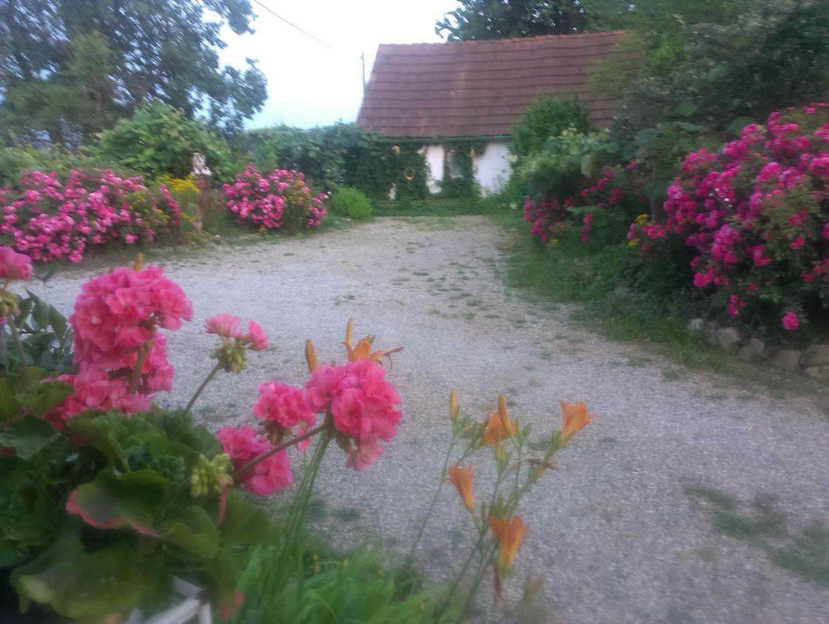 Vila Biohof Koller Weichselbaum Exteriér fotografie